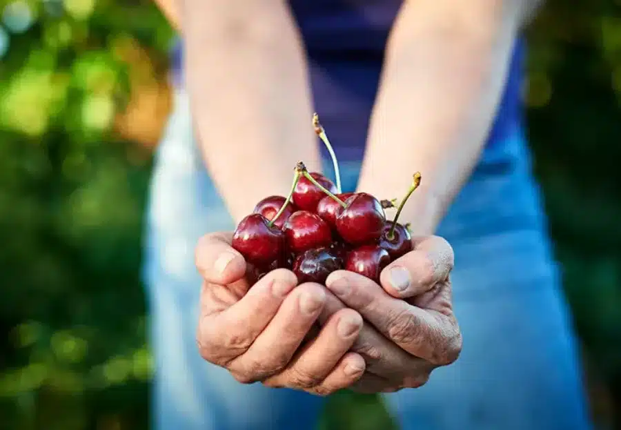 superfoods for heart health