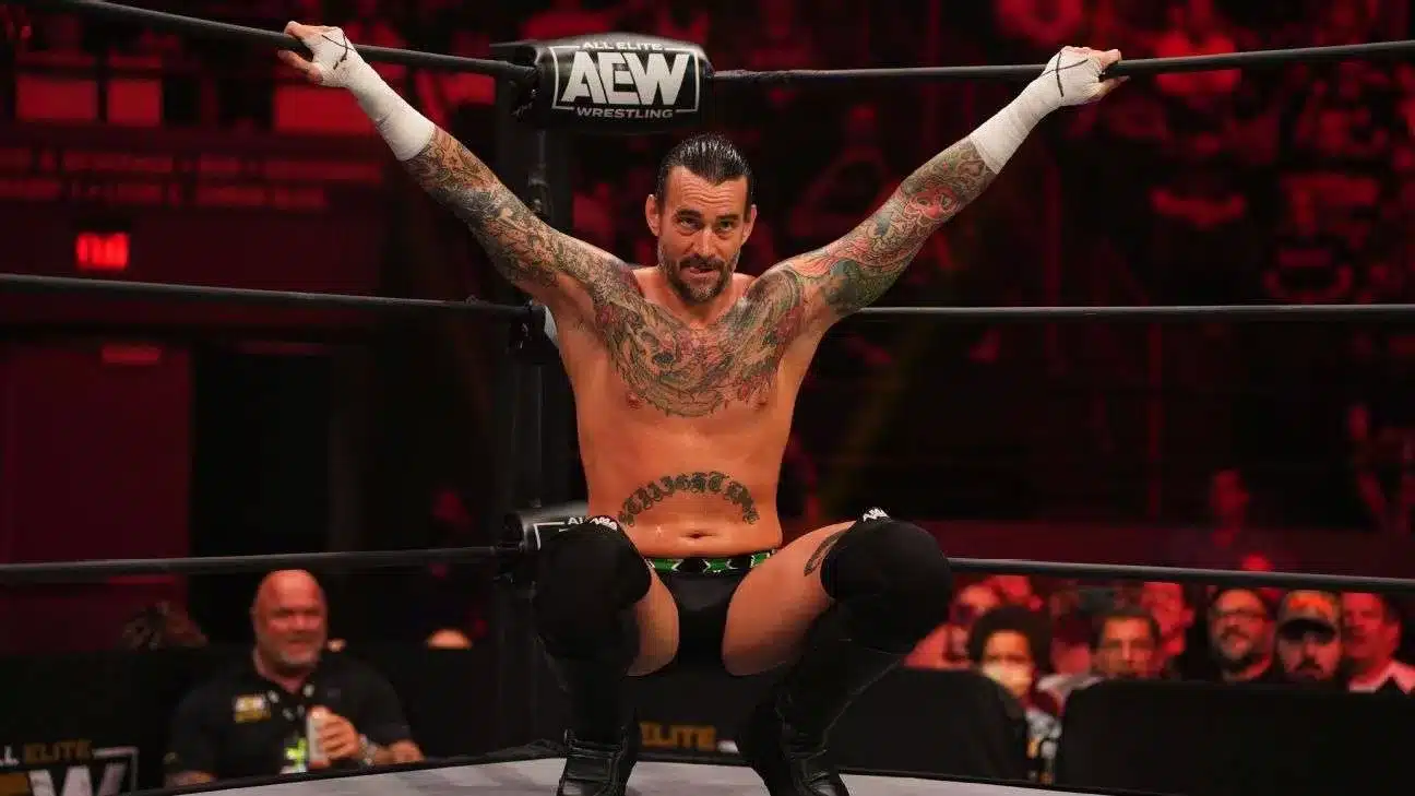 CM Punk net worth 2025