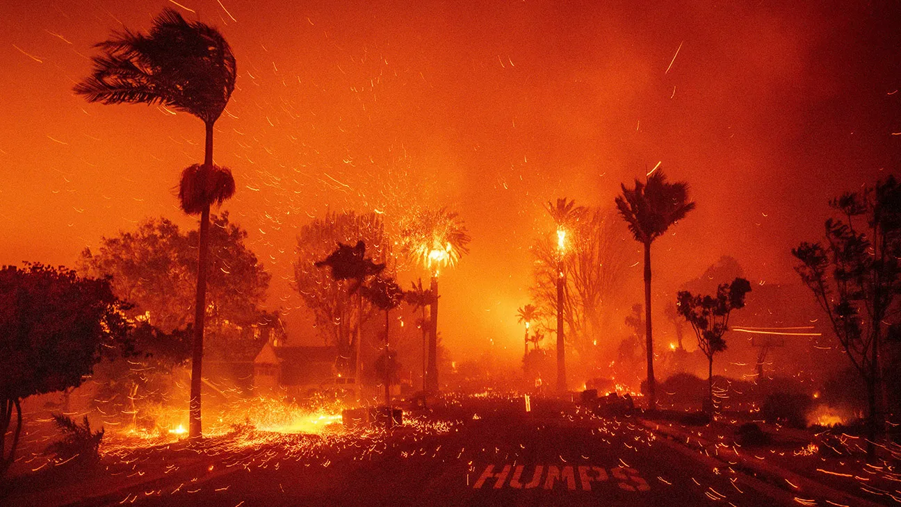 celebrity wildfires